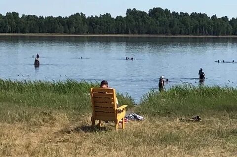 Окунево тюменская область бердюжского