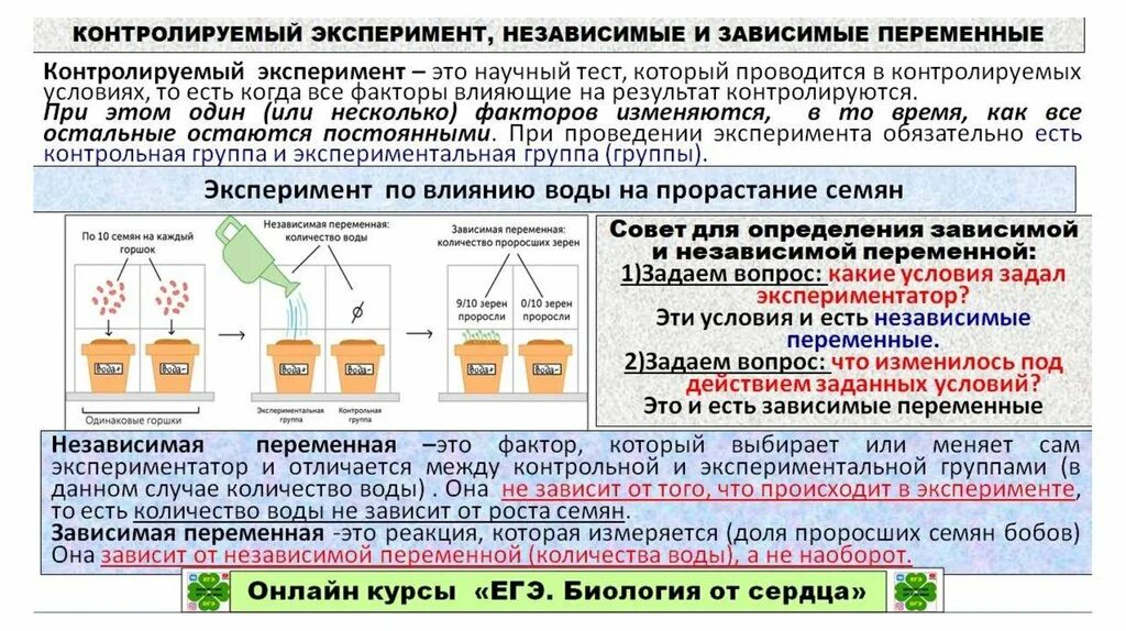 Результат эксперимента зависит от. Независимые переменные в эксперименте. Независимая и зависимая переменные в эксперименте. Независимая переменная в эксперименте это. Зависимые независимые и контролируемые переменные.