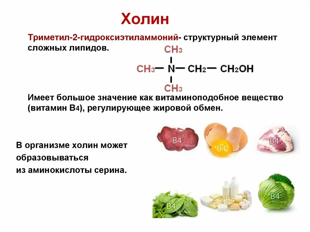 Витамин в4 Холин формула. Холин хлорид (витамин в4). Холин химическая формула. Холин химическое строение.