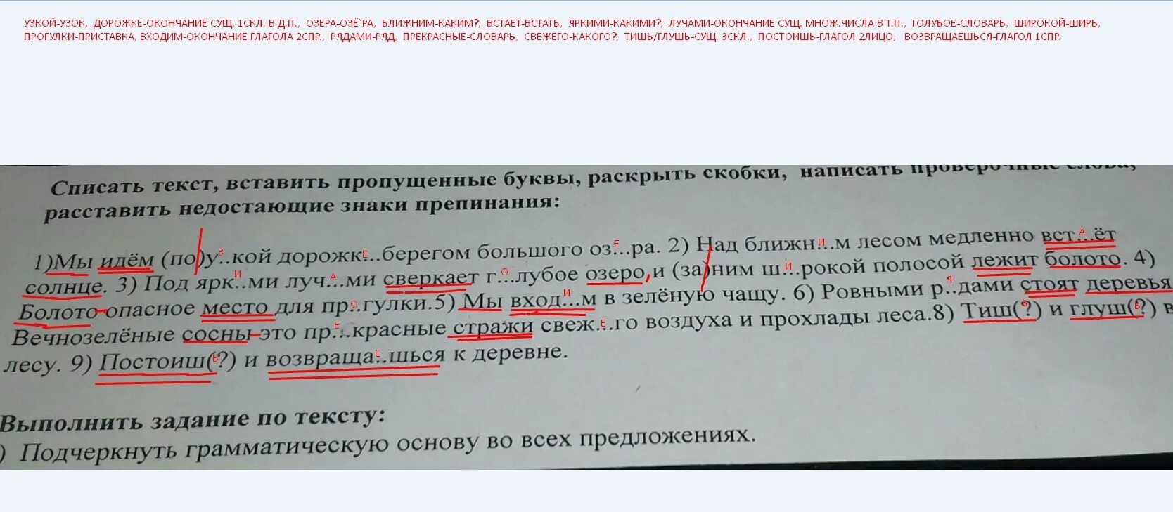 Диктант мы идем по узкой дорожке. Диктант в лесу мы идем. Текст мы идем по узкой дорожке. В лесу текст мы идем по узкой. В лесной гуще текст