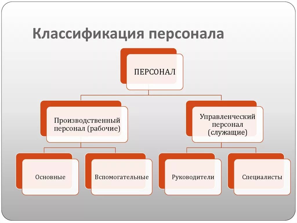 К какому персоналу. Категории персонала организации. Классификация персонала. Основные категории персонала. Категории персонала на предприятии.