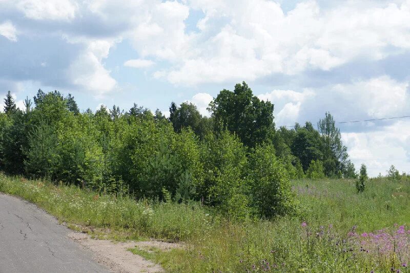 Савино новгородская область. Савино Новгородский район. Поселок Савино Новгородской области. Высокая гора Новгородская область. Поселок ситно Новгородская область.