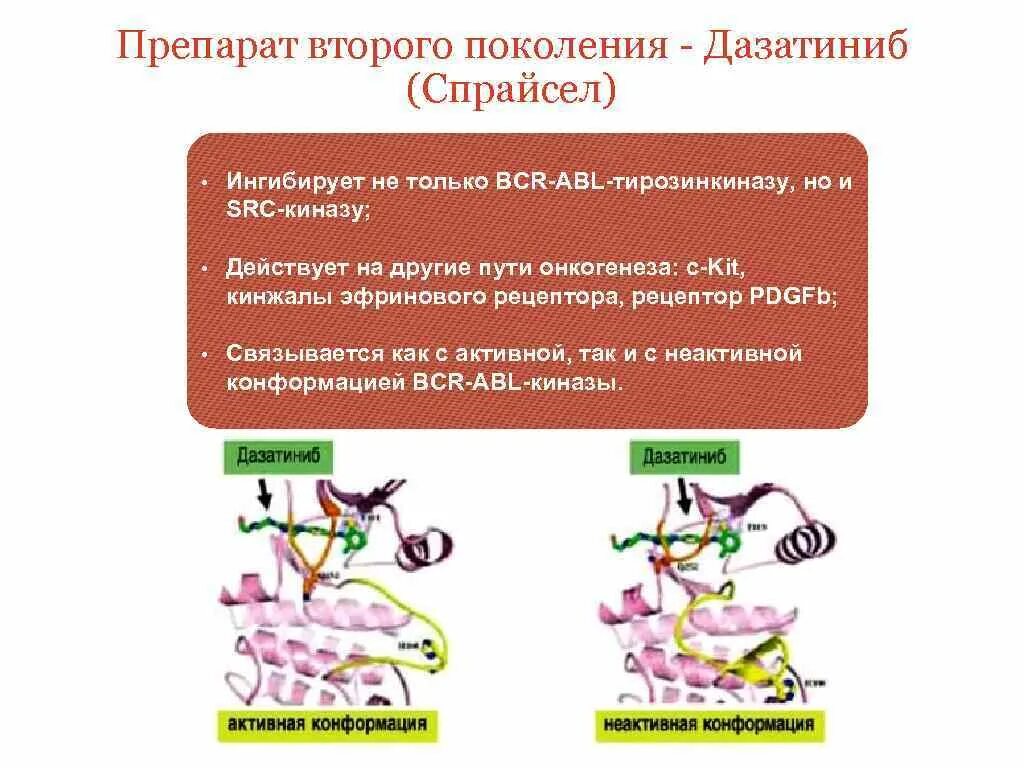 Ингибиторы киназы препараты. Ингибитор Янус-киназы препараты. Ингибиторы BCR ABL. Ингибиторы BCR ABL препараты. Ингибиторы киназы