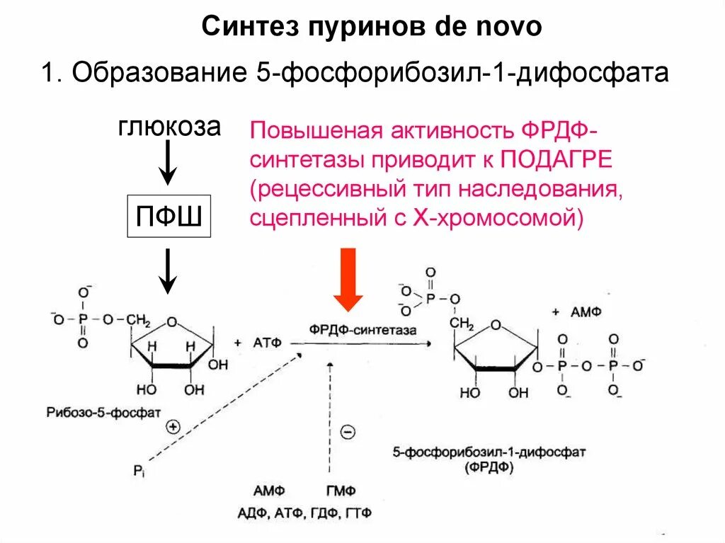 Образование 5-фосфорибозил-1-дифосфата. Образование 5 фосфорибозил 1 дифосфат. Синтез пиримидинов de novo. Синтез ФРДФ биохимия.