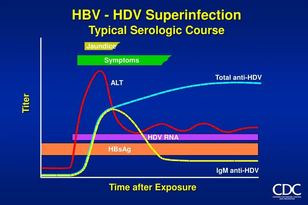 Hbs igm. Anti-hbc total положительный. Hbs igm. Hbv днк. Анти hbsag.