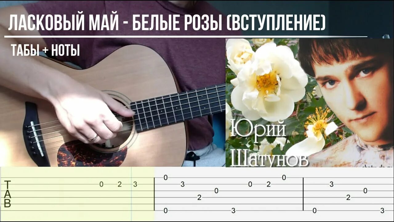 Ласковый май аккорды розовый. Ласковый май белые розы Ноты. Белые розы Шатунов на гитаре. Ноты песни ласковый май белые розы. Ласковый май - белые розы (вступление гитара табы + Ноты).