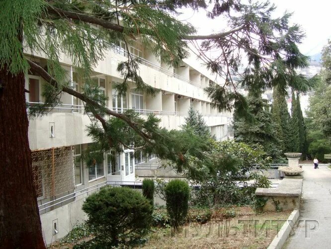Сайт санатория ялта. Военный санаторий ялта. санаторий министерства обороны ялта свердлова. крым военный санаторий ялта в г ялта. санаторий ялтинский свердлова 32.