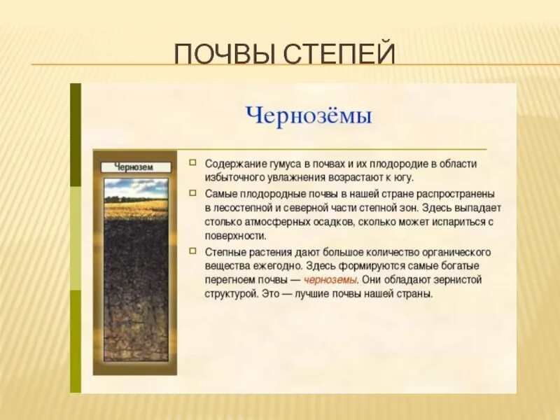 Почвы в зоне степей очень плодородные. Почвы степи. почва степи кратко. почвы степи в россии. характеристика почвы в степи.
