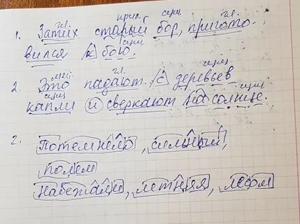 Синтаксический разбор предложения в полутемном бору