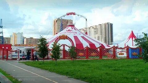 Цирк в реутово