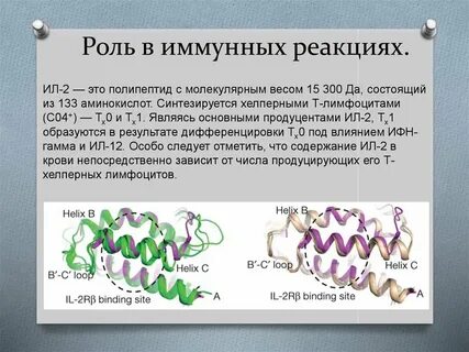 Синтезирующий полипептид