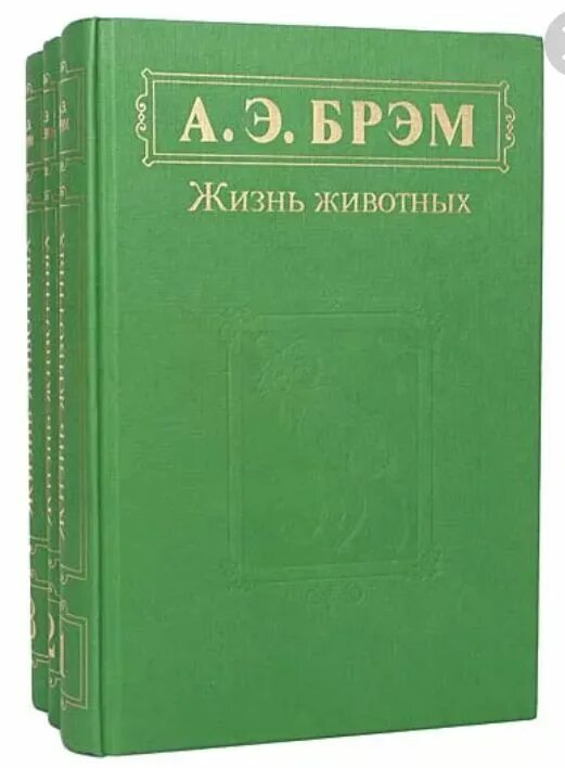 Жизнь животных том 5. А э брэм жизнь животных. брем жизнь животных в 3 томах. а. э. брема «жизнь животных». купить7 томов.
