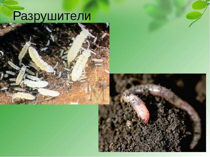 Список разрушителей