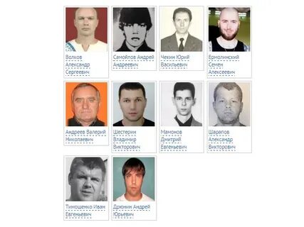 Сайт розыска