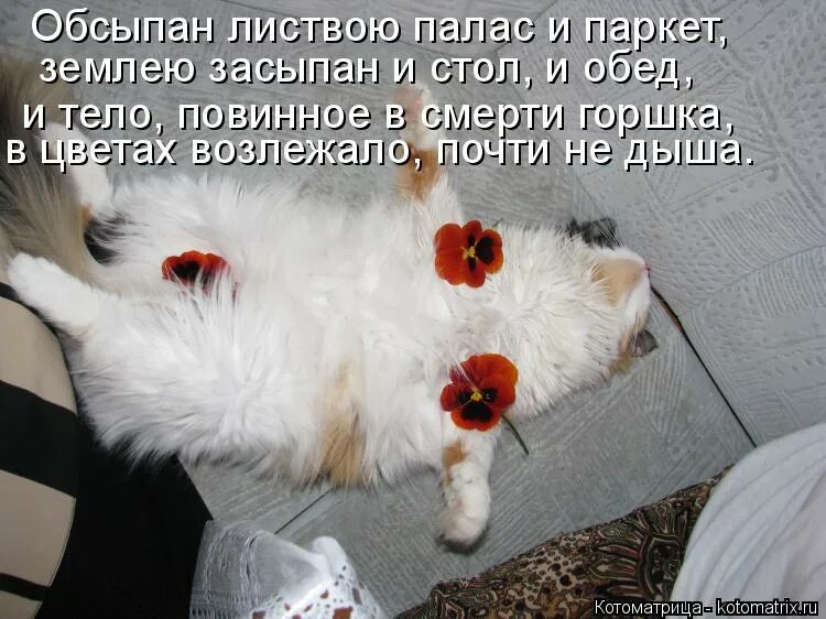 Мы поднимемся чуть позже зато сами. Кайфуй сама. Кайфую картинки прикольные. Надпись кайфуйте. Я всего добьюсь сама цитаты.