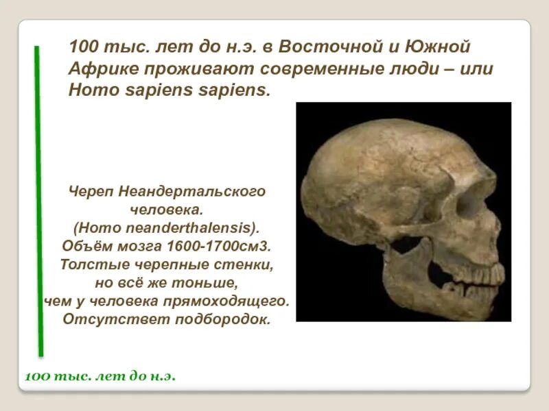 Объем мозга 1200-1600. Объем мозга 1400-1900 череп. Объем мозга 1200-1600 череп человека. Черепа людей каменного века.