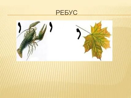 Природные явления ребус