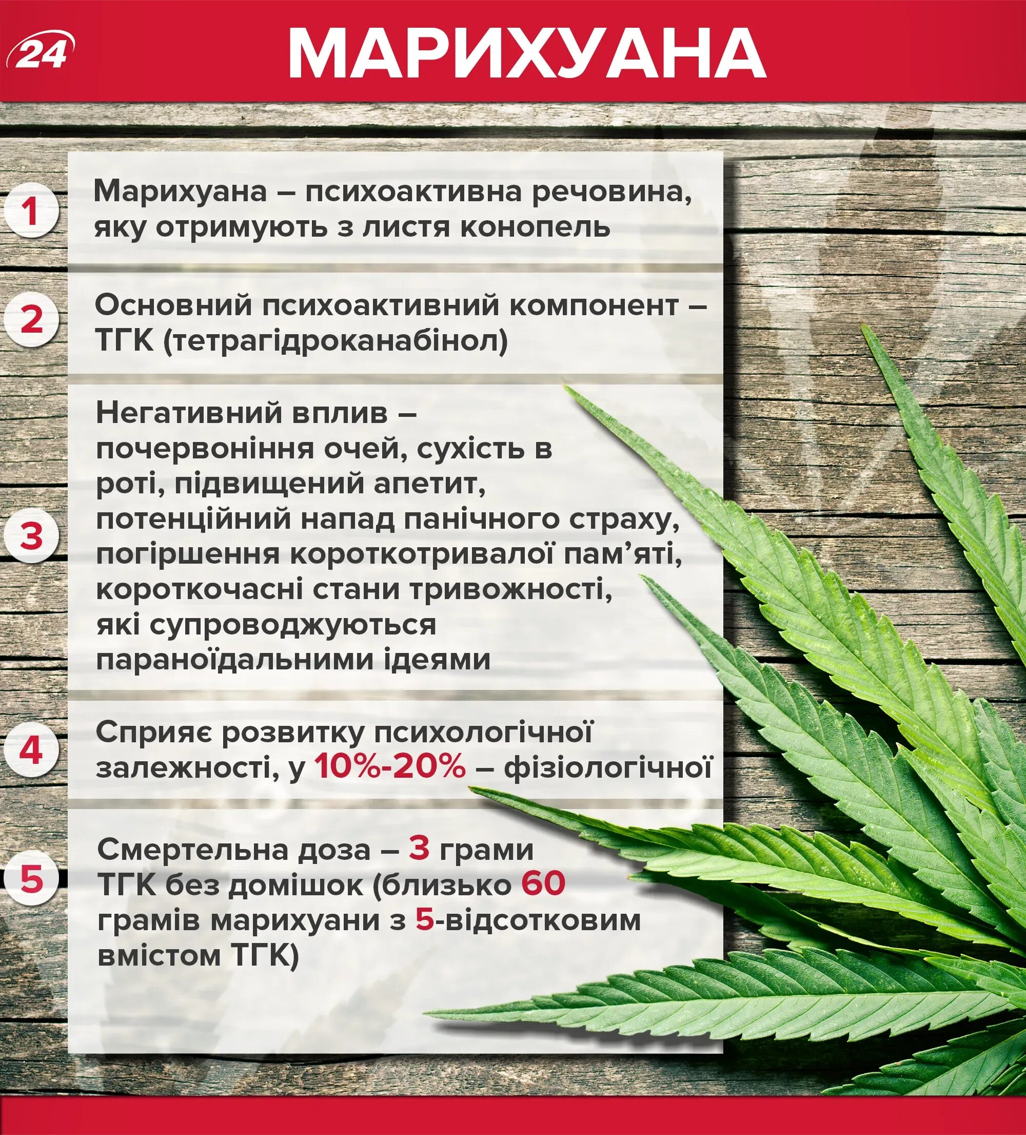 Реакция на пост в тгк