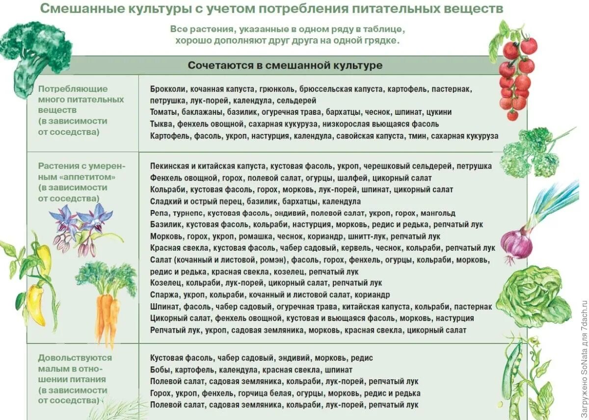 Урожайность кормовых культур ц/га таблица. Технология выращивания овощных культур. Технология обработки почвы схема. Нормы минеральных удобрений на 1 га для картофеля. Таблица севооборота овощных культур на огороде предшественники.