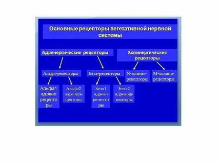 Нервы это рецепторы