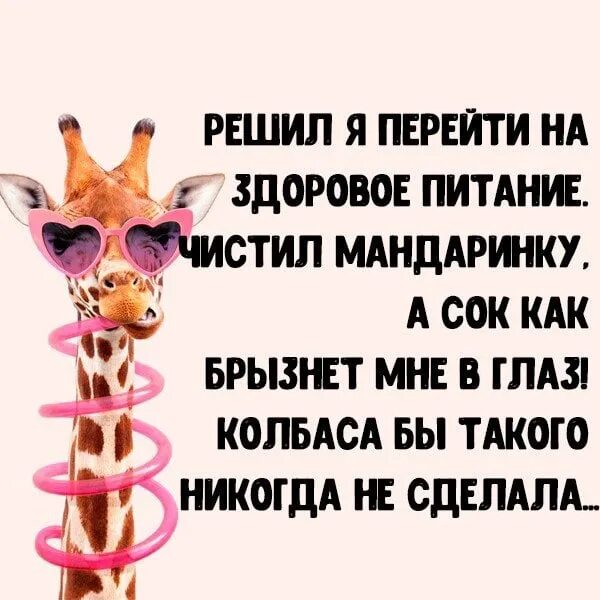 Как чистить питаю. Решила перейти на здоровое питание чистила мандаринку а сок. Решила перейти на здоровое питание чистила. Статус решила перейти на здоровое питание, чистила мандаринку. Решила перейти на здоровое питание чистила мандаринку картинка.