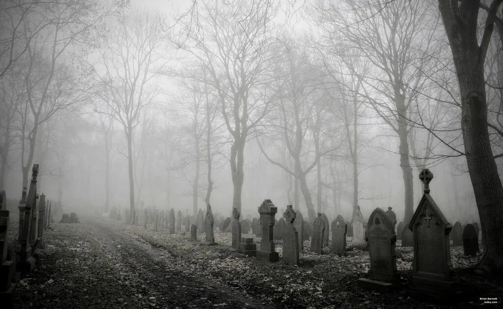 Несчастье мрачно. Мрачное кладбище. Кладбище в тумане. Мистическое кладбище.