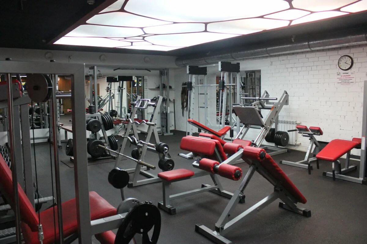 Тренажерный зал сыктывкар. Доберман сыктывкар тренажерный зал. Тренажерные залы сыктывкар. Тентюковская 273 сыктывкар. Тренажерные залы сыктывкар.