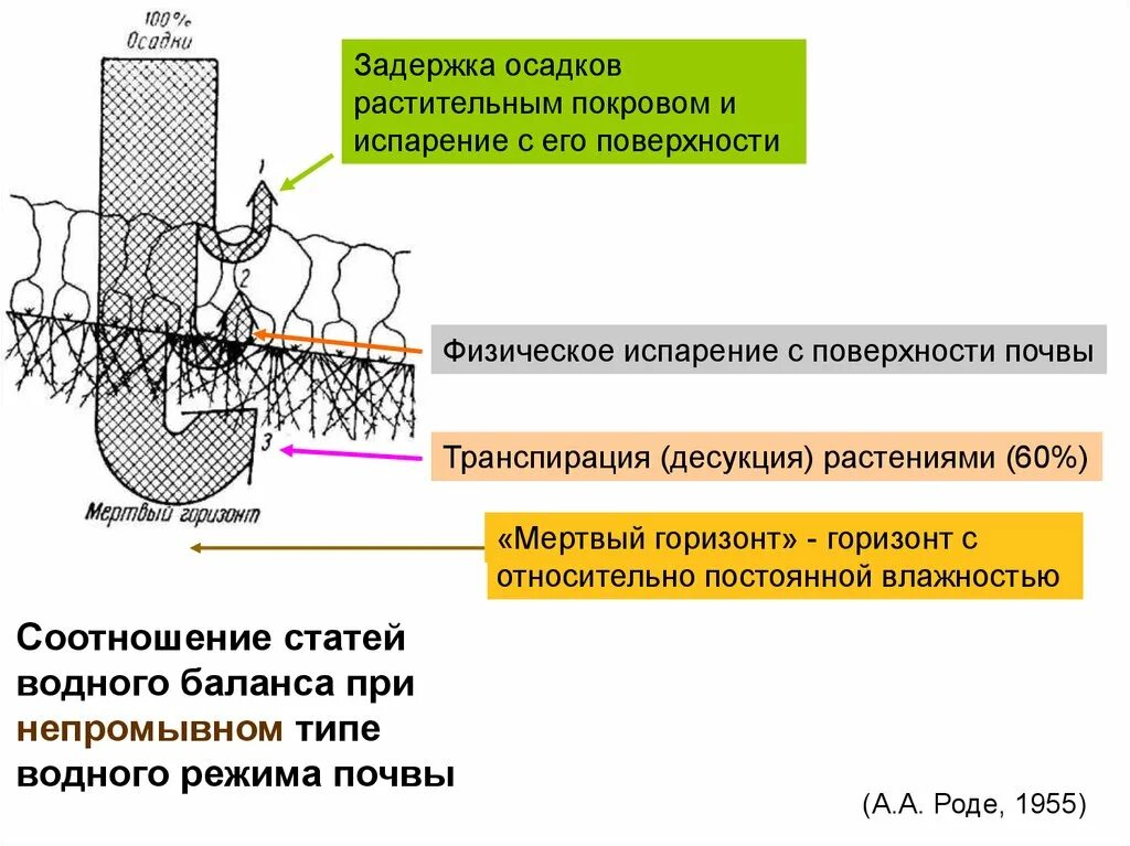 Испарение с почвы. Испарение с поверхности почвы. Испаряемость почв. Испарение влаги из почвы.