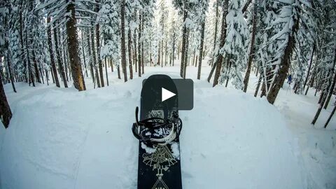 Wildlife ride