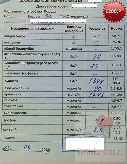 Какие анализы делают в поликлинике. Какие анализы делают в поликлинике