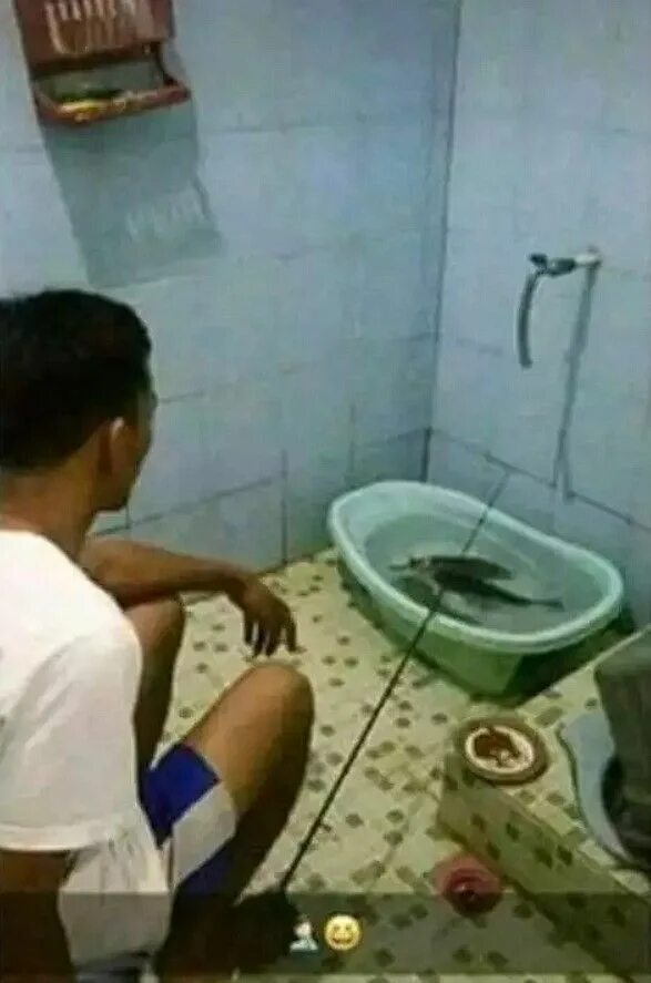 Video di kamar mandi. Video di kamar mandi. Video di kamar mandi. Ngintip cewek mandi nu 2020. Video di kamar mandi.