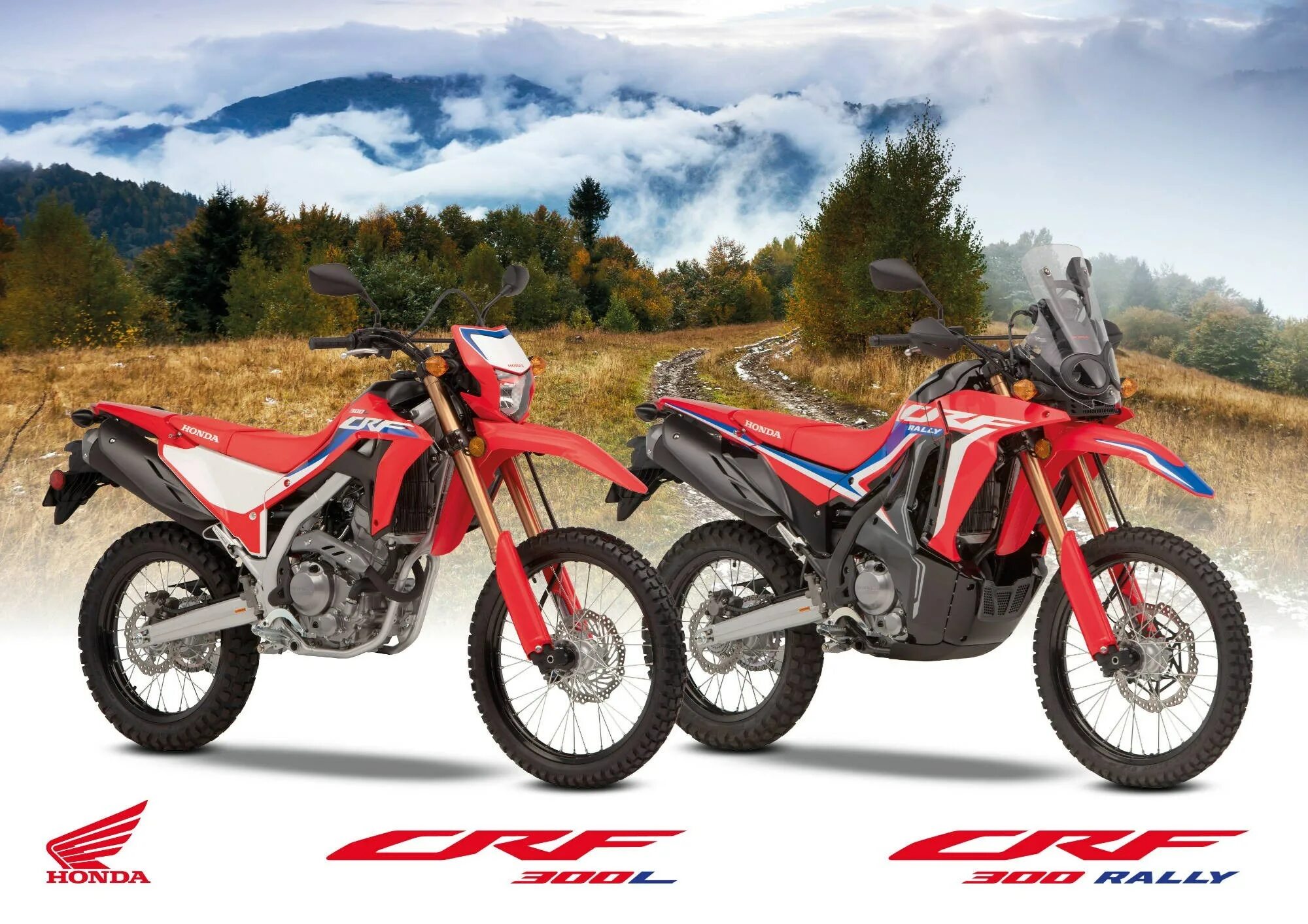 Honda crf rally. CRF 300 Rally 2021 Honda. Honda CRF 300 Rally. Honda crf300l Rally. Honda 300 Rally.