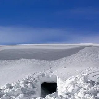 Снежное 2024
