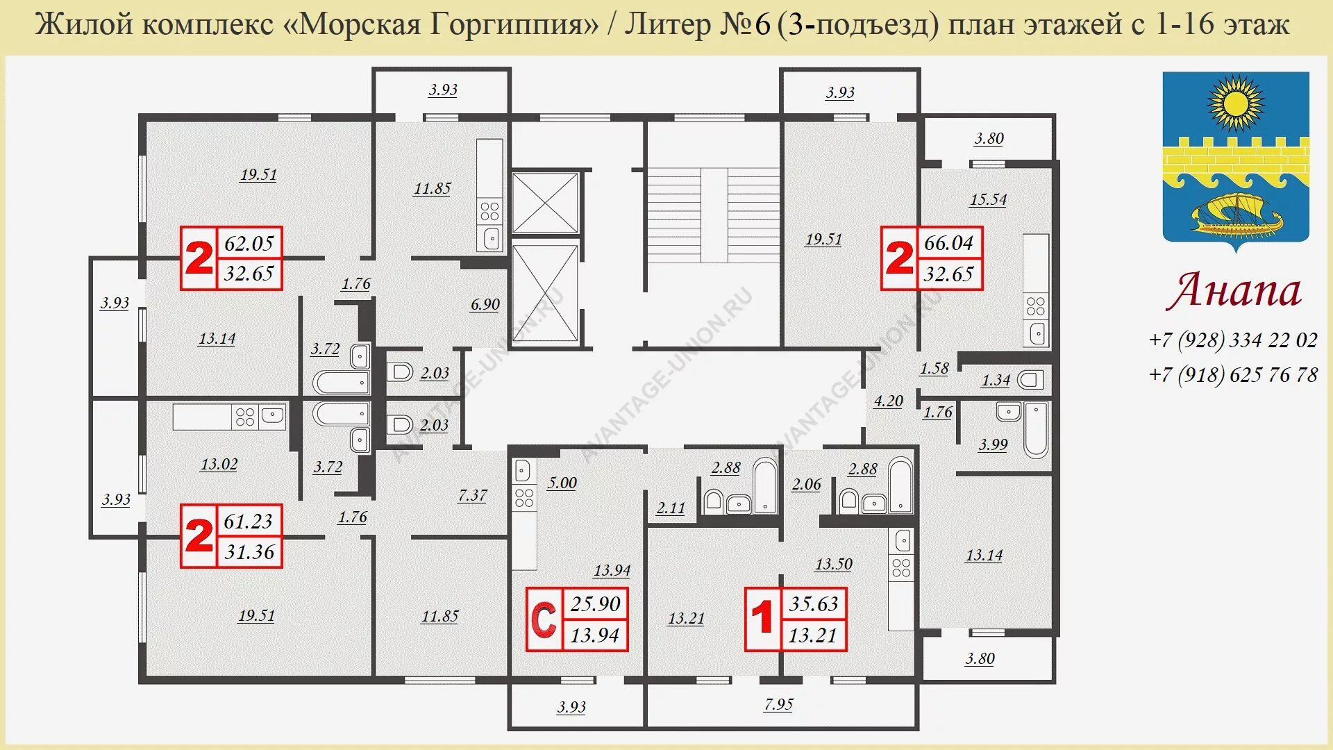 Горгиппия морская купить