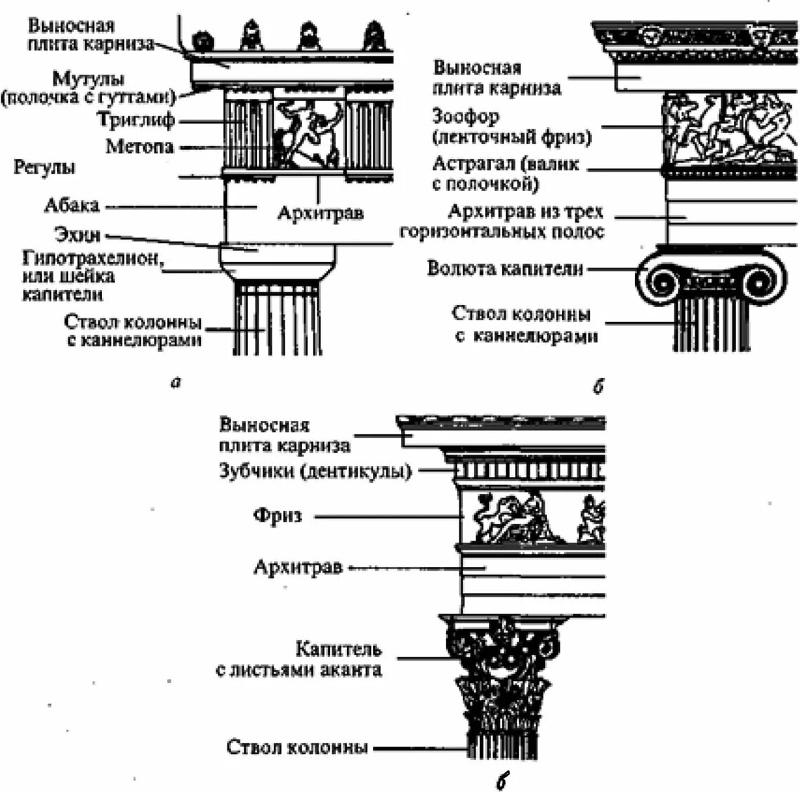 Арбитражные ордеры. Ионический ордер колонна схема. Архитектурный ордер дорический ионический Коринфский. Капитель Коринфская названия элементов. Антаблемент Ионического ордера.