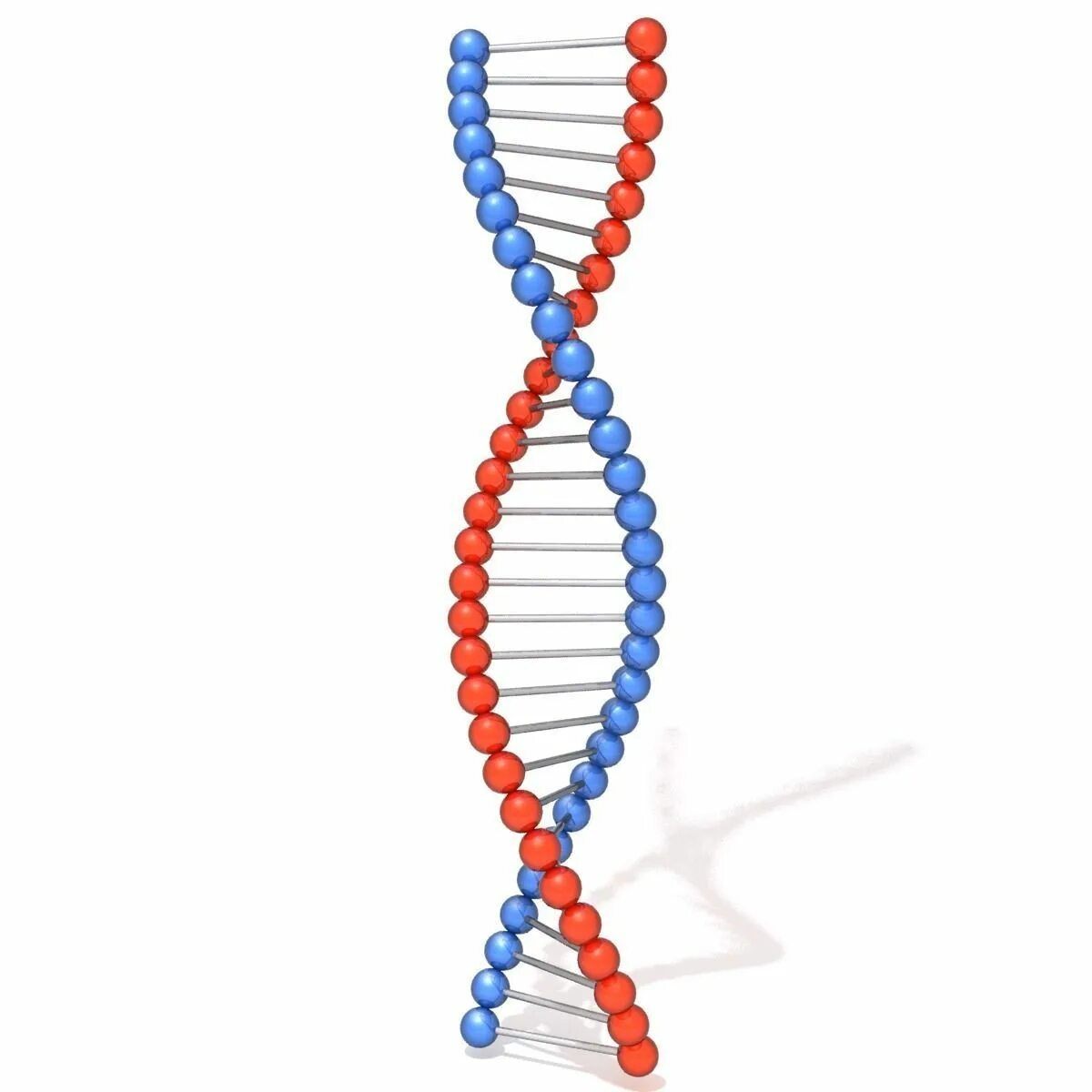 Молекулярная цепочка ДНК. Цепочка ДНК DNA. Цепь молекулы ДНК. Молекула ДНК цепочная.