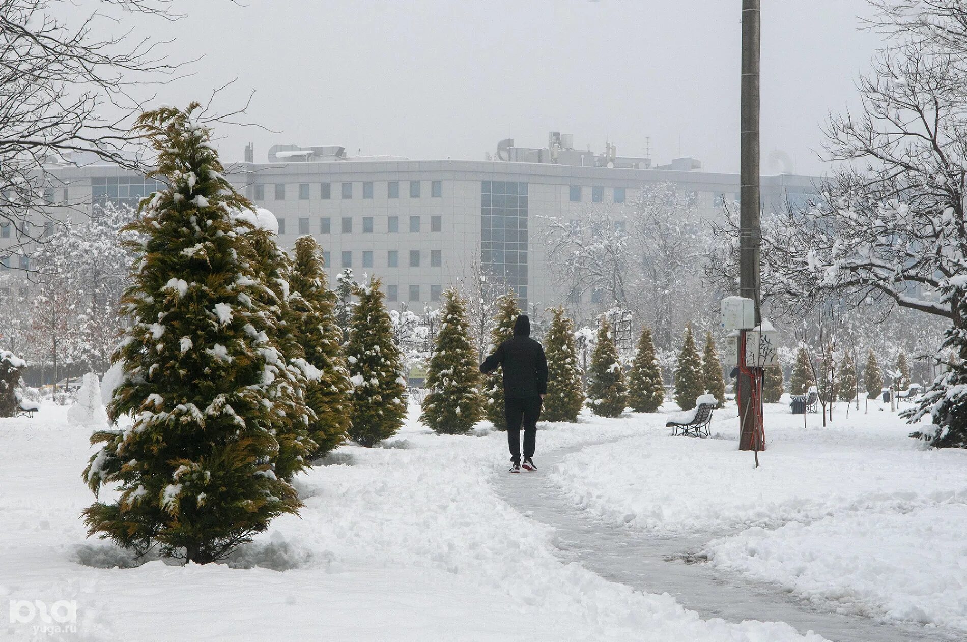 Погода в самом краснодаре. Снег в Краснодаре. Снегопад в Краснодаре. Зимний Краснодар без снега. Зима в Краснодаре без снега.