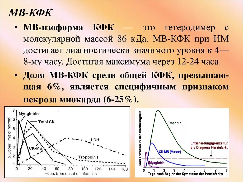 Повышенная креатинкиназа в крови. КФК МВ при инфаркте миокарда. МВ фракция КФК. МВ фракция КФК норма. МВ-фракция креатинфосфокиназы расшифровка.