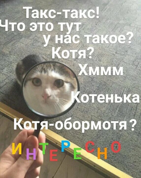 Было указано что тут. Что тут у нас мемы. Мемы мемы мемы наканецта. Так что тут у нас Мем. Мемы ахахах наканецта.