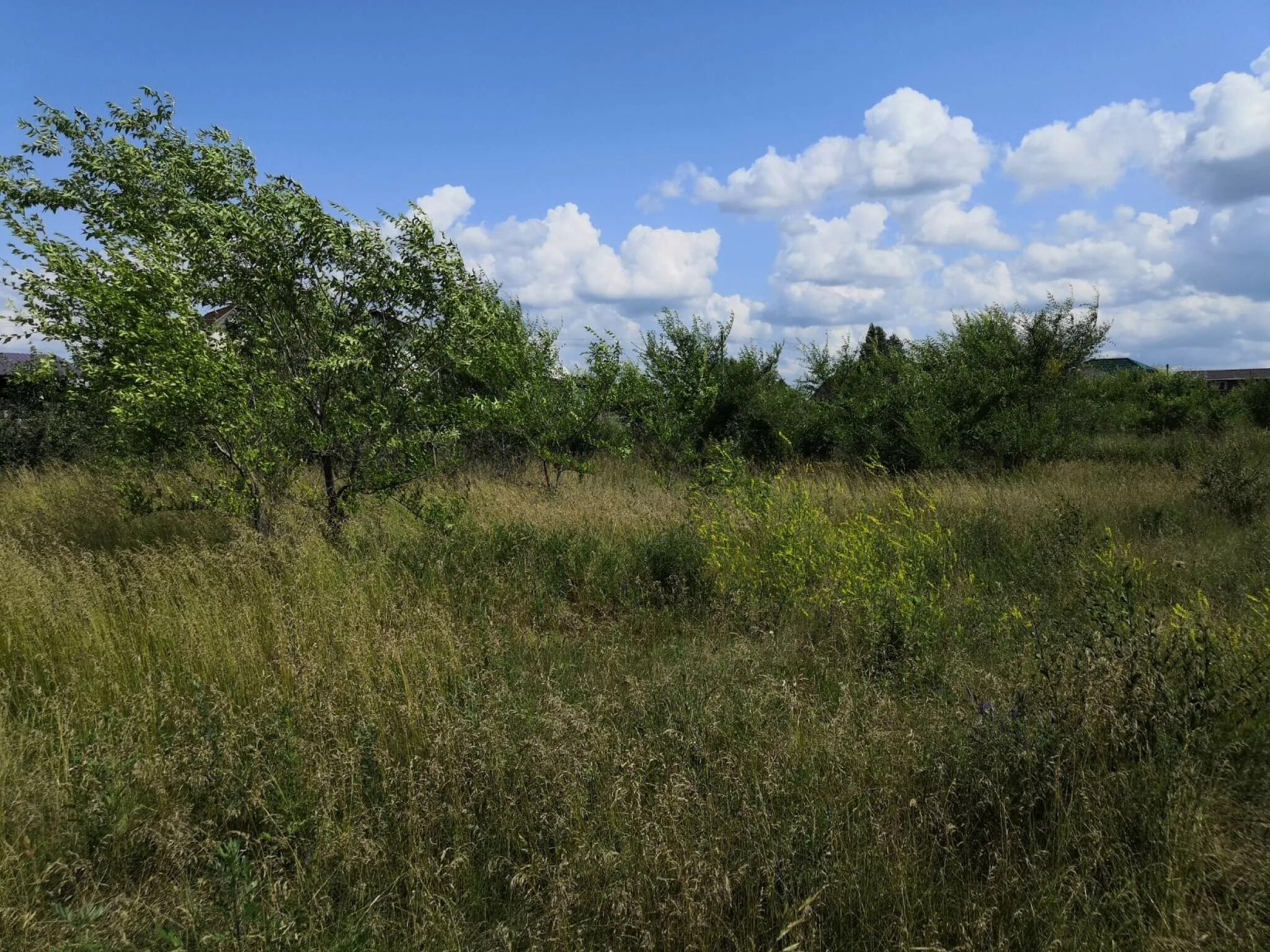 Поселок расцвет краснодарский край