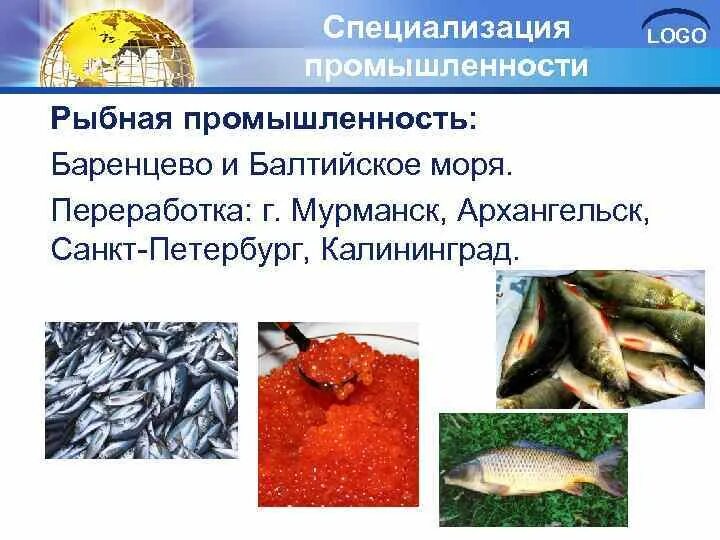 Рыбная промышленность является отраслью специализации. Центры рыбной промышленности. Отрасли рыбной промышленности. Рыбная промышленность России. Рыбные отрасли специализации.
