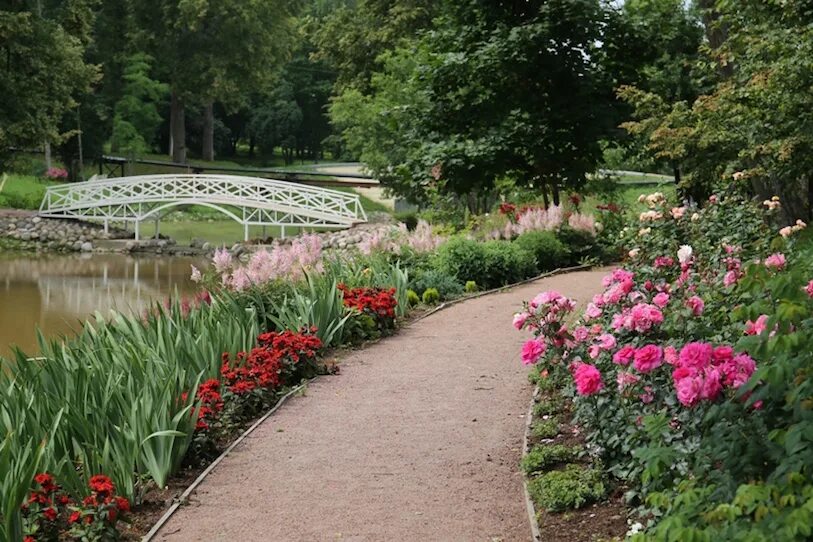 школа марьина роща сад. е. детский сад марьино голованова. школа голованова в марьино. школа имени голованова марьино.