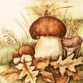 Басня грибы