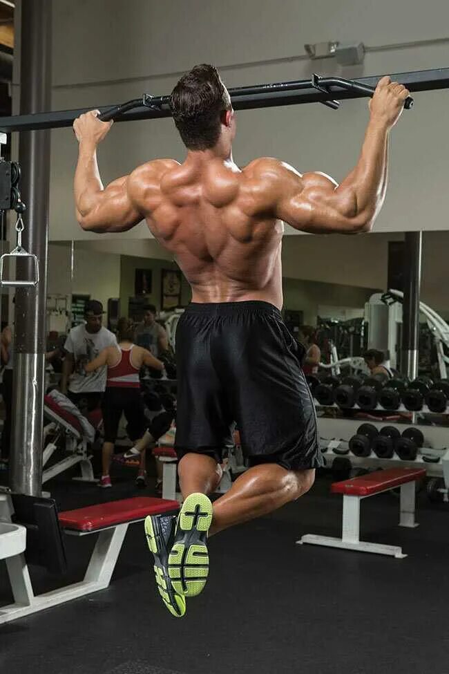 Штанга поясница. Упражнения на широчайшие мышцы. Тренировка спины. Упражнения на широчайшие мышцы спины. Накаченная спина в зале.