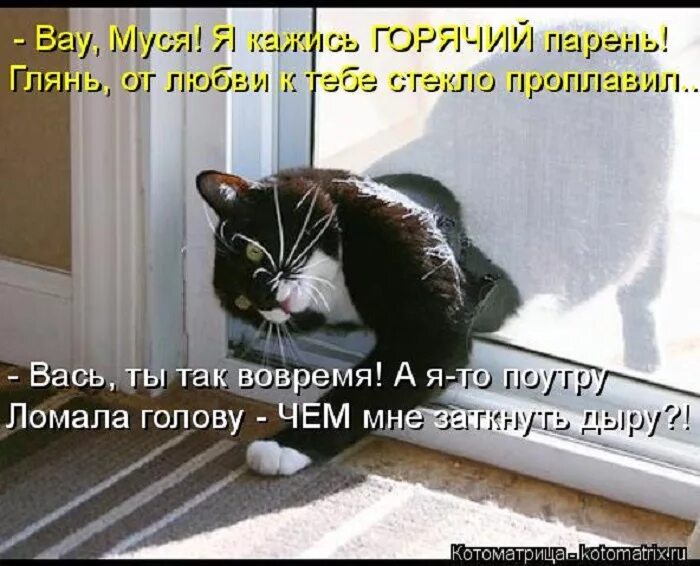 Которых и так во время