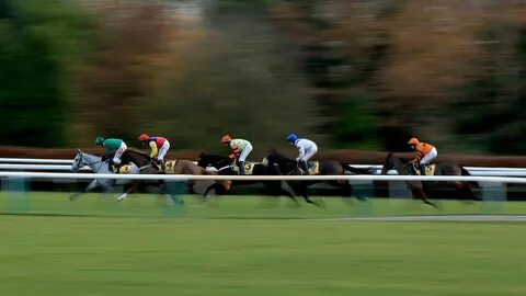 Horse race live