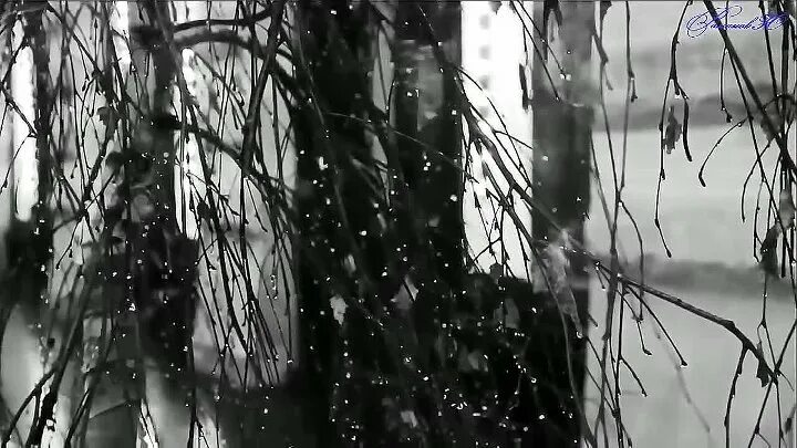 Найти песню твои следы. Где же ты и где искать твои следы. где же ты и где искать твои следы картинки. ивкина.твои следы. где найти твои следы максим аверин.