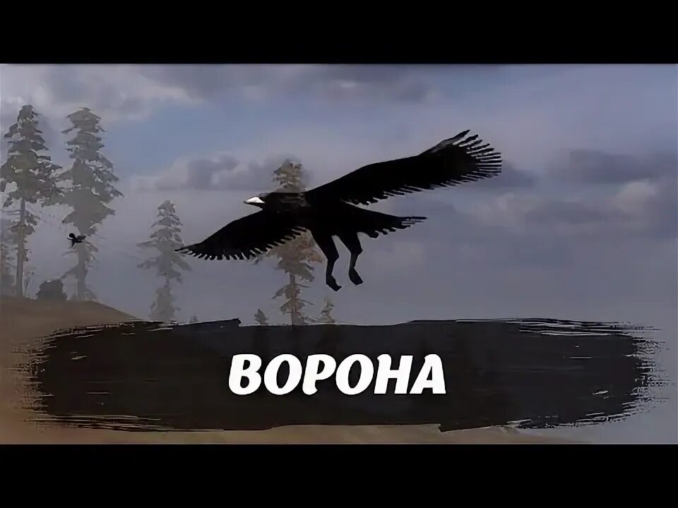 Пончик южный сталкер. Вороны сталкер. Южный парк сталкер. Группировка вороны сталкер. Канал автора ворон сталкер.