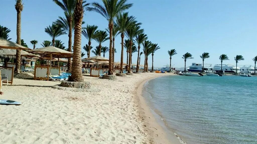 Континенталь Хургада Резорт. Египет Continental Хургада. Continental Hurghada Resort 5. Continental Hotel Hurghada 5 Египет Хургада.