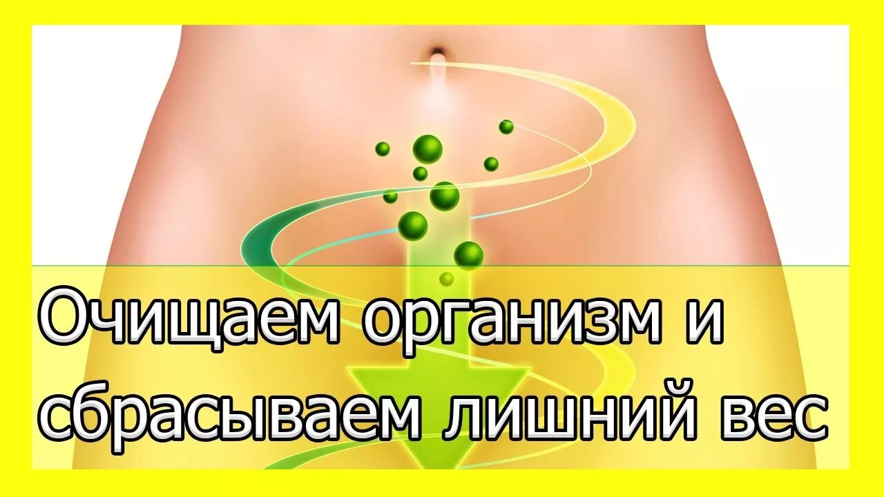 Очищается ли организм. Очистка организма. Очищение организма картинки. Очищение организма рисунок.